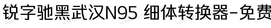 锐字驰黑武汉N95 细体转换器字体转换